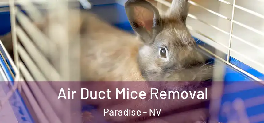 Air Duct Mice Removal Paradise - NV