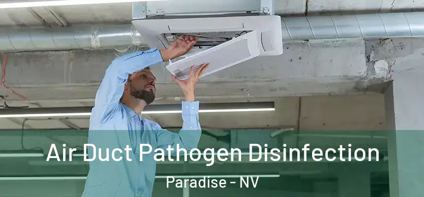  Air Duct Pathogen Disinfection Paradise - NV