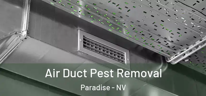  Air Duct Pest Removal Paradise - NV