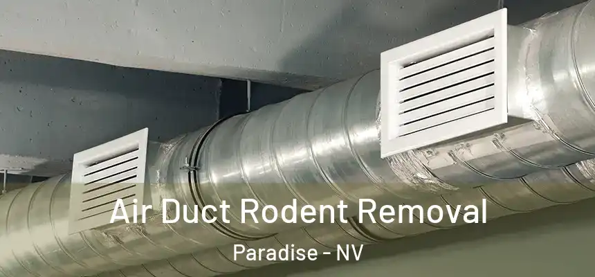  Air Duct Rodent Removal Paradise - NV