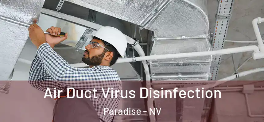 Air Duct Virus Disinfection Paradise - NV