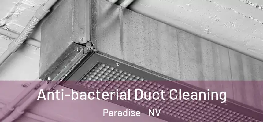 Anti-bacterial Duct Cleaning Paradise - NV