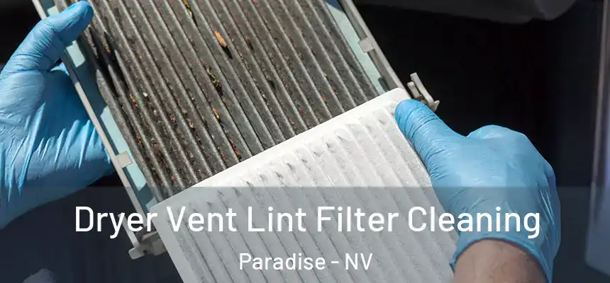 Dryer Vent Lint Filter Cleaning Paradise - NV