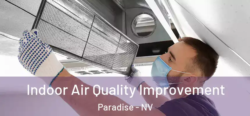 Indoor Air Quality Improvement Paradise - NV