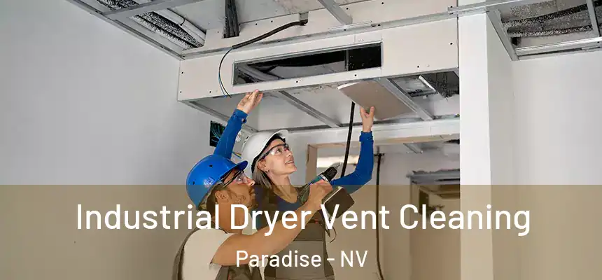 Industrial Dryer Vent Cleaning Paradise - NV