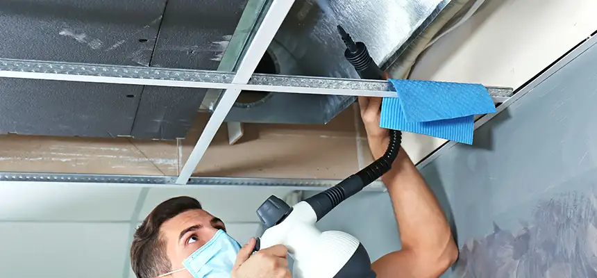 Our Air Duct Rodent Removal Services in Paradise, NV