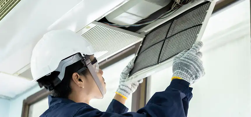 Our Lint Trap Cleaning Service Services in Paradise, NV