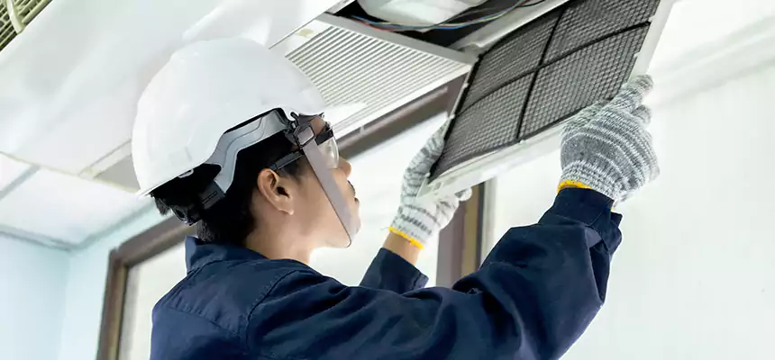 Our Mold & Mildew Removal from Air Ducts Services in Paradise, NV