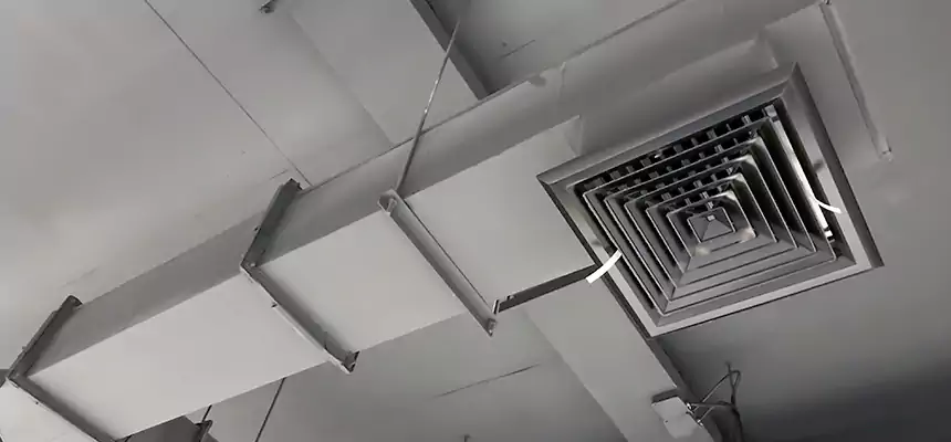 Our Rodent Droppings In Vents Services in Paradise, NV