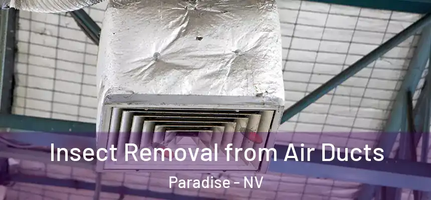  Insect Removal from Air Ducts Paradise - NV