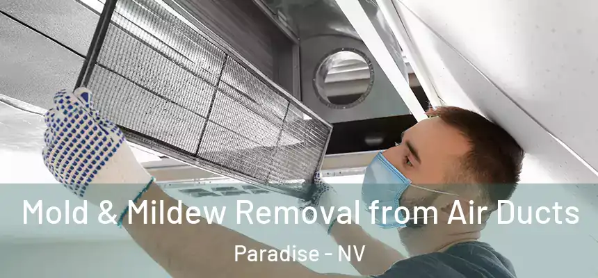 Mold & Mildew Removal from Air Ducts Paradise - NV