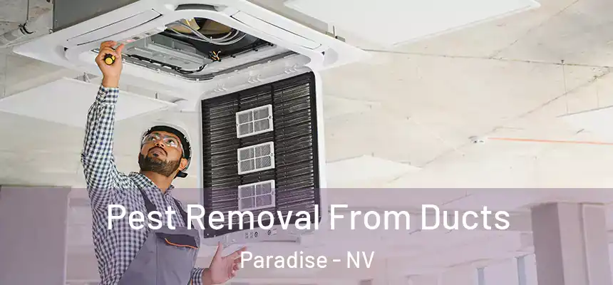 Pest Removal From Ducts Paradise - NV