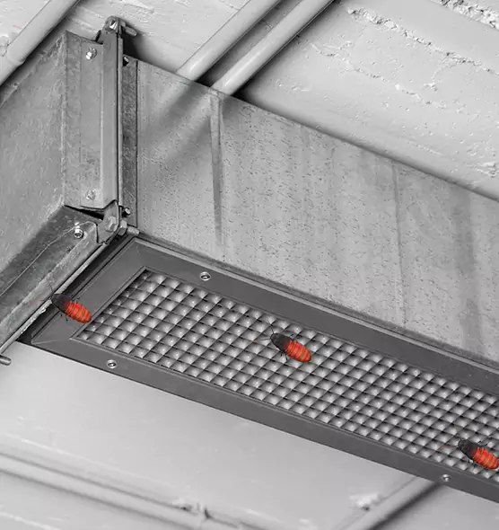 About Air Duct Cockroach Removal in Paradise, NV