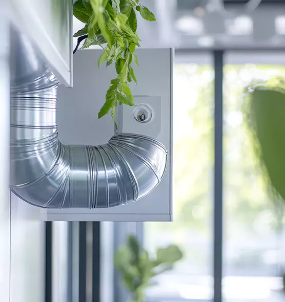 Professional Eco-Friendly Duct Cleaning Services in Paradise, NV