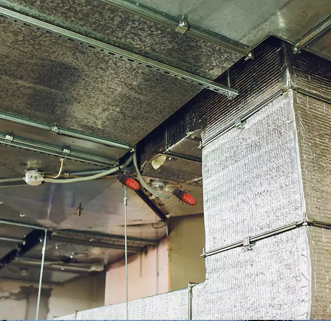 Why Homeowners & Businesses Trust Us in Paradise, NV?