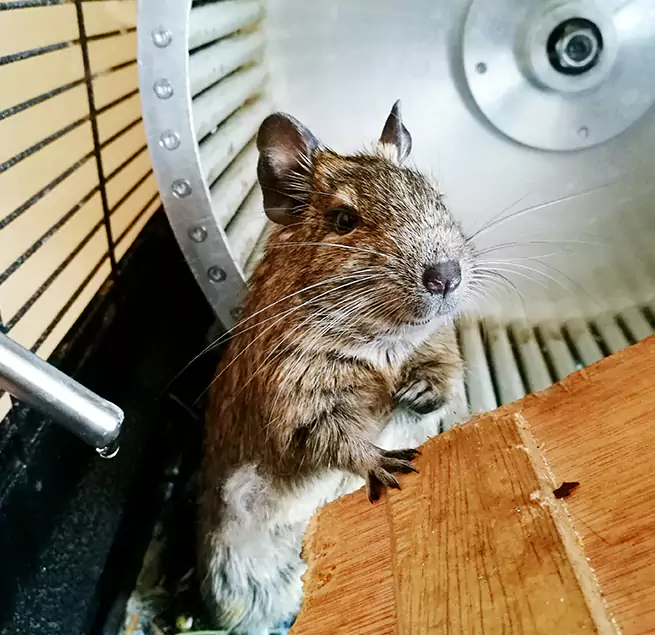 Why Homeowners & Businesses Trust Us Paradise, NV?