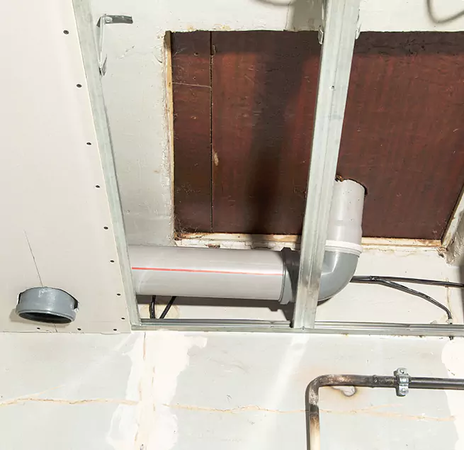 Why Homeowners & Businesses Trust Us in Paradise, NV?