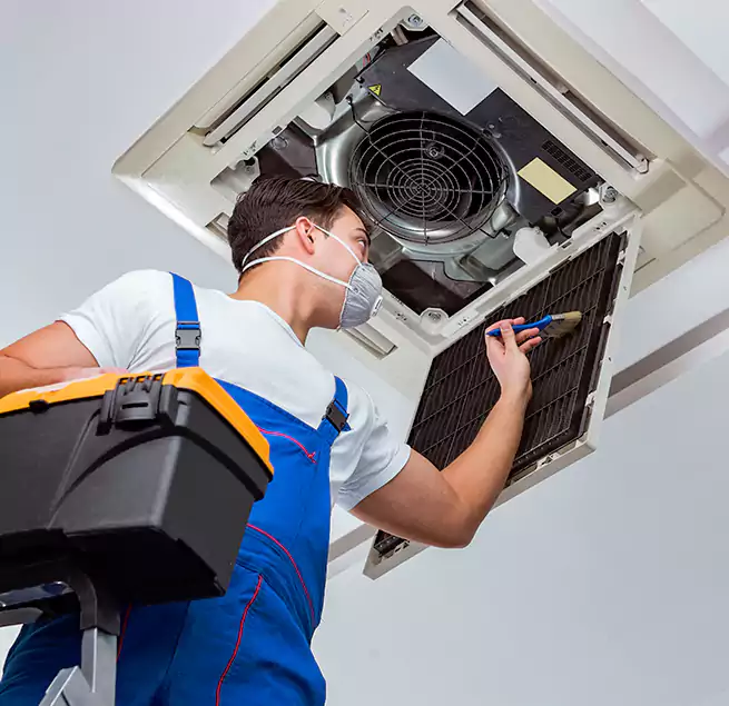 Why Homeowners & Businesses Trust Us in Paradise, NV