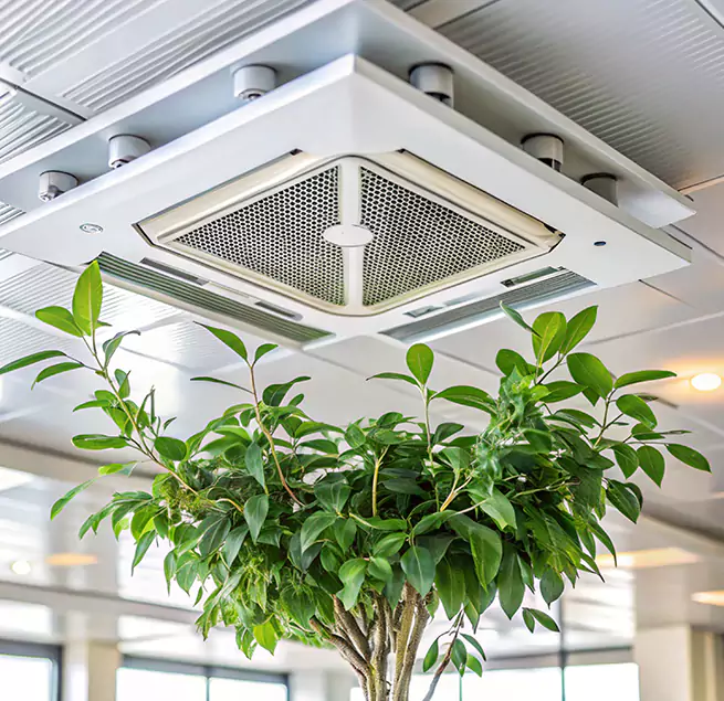 Why Homeowners & Businesses Trust Us in Paradise, NV?