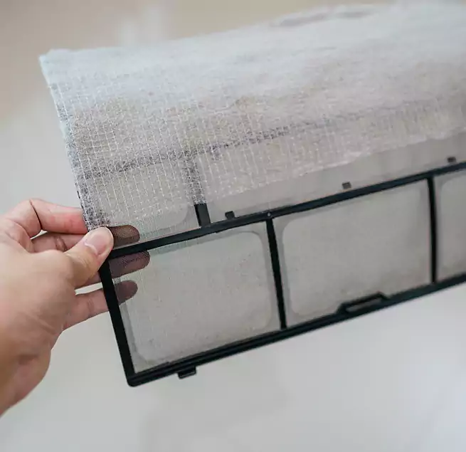 Why Homeowners & Businesses Trust Us in Paradise, NV?