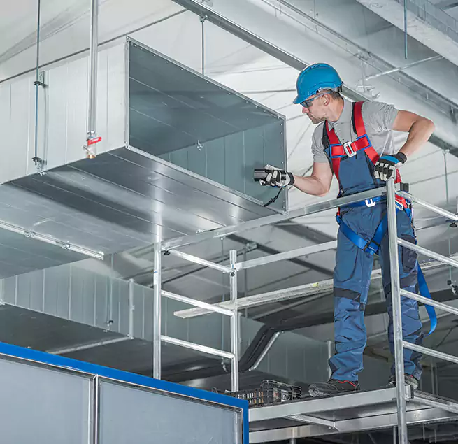 Why Homeowners & Businesses Trust Us in Paradise, NV?