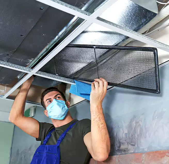 Why Homeowners Businesses Trust Us in Paradise, NV