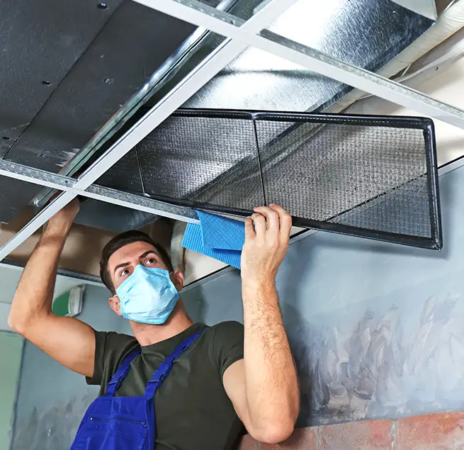 Why Homeowners & Businesses Trust Us in Paradise, NV?