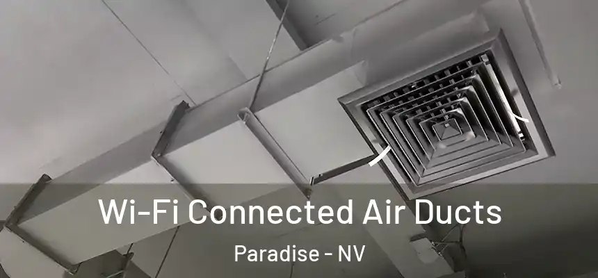 Wi-Fi Connected Air Ducts Paradise - NV